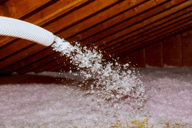 Best Crawl Space Insulation  in Niles, MI