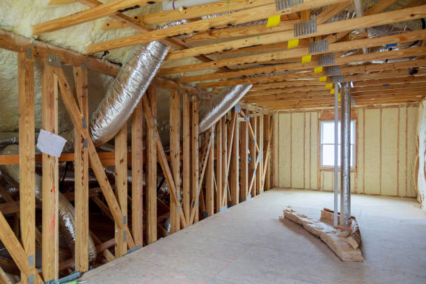 Best Professional Insulation Contractor  in Niles, MI