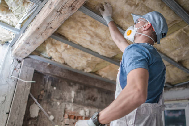 Best Affordable Insulation Services  in Niles, MI