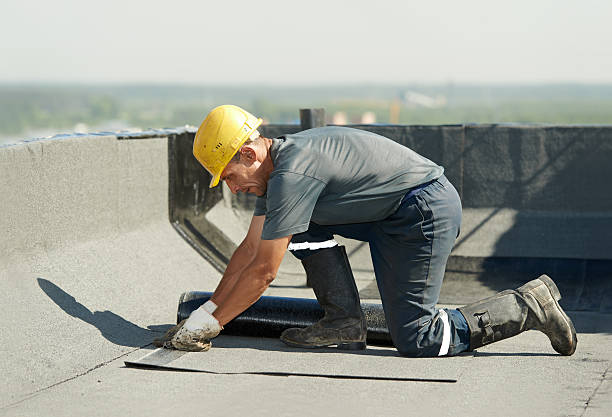 Best Crawl Space Insulation  in Niles, MI